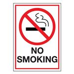 Industrial Heavy Duty No Smoking Decal - No Smoking